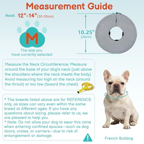 Image of Dog Cone, No-Inflation Sponge Donut Collar for Dogs After Surgery