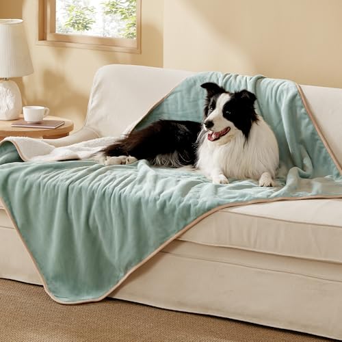 Image of Bedsure Waterproof Dog Blankets for Extra Large Dogs - XL Cat Blanket Washable for Couch Protection, Sherpa Fleece Puppy Blanket, Soft Plush Reversible Throw Furniture Protector, 50x60, Light Green