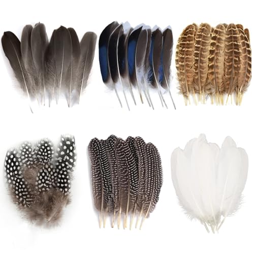 60 Pcs Feathers for Crafting Feather Headdress Feathers for Hats and Fascinators Feather Decorations Fors DIY Crafts Craft Embellishments Earrings Headdress Flowers Home Holiday Decoration