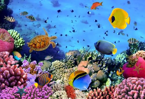 AOFOTO 5x3ft Underwater Ocean Coral Reef Backdrop Under The Sea