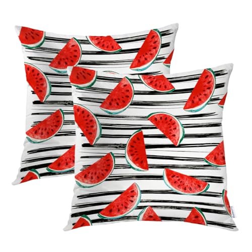 Batmerry Summer Watermelon Pillow Covers 18x18 Inch Set of 2, Colorful Sweet Fruits Delicious Black and White Double Sided Decorative Pillow Cases Throw Pillow Covers