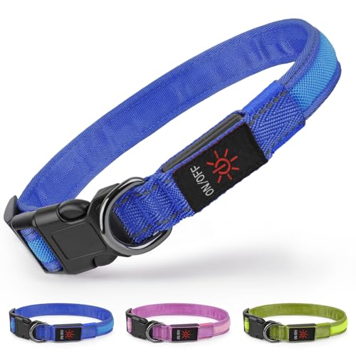 Collier lumineux LED rechargeable bleu étanche doté d'une sangle ajustable - 2