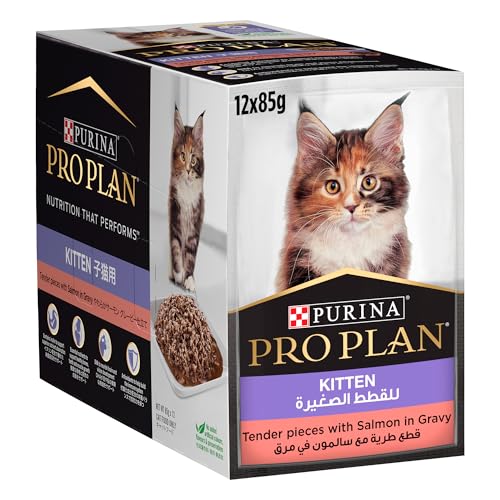 Purina Pro Plan Kitten with Salmon Wet Cat Food 85g