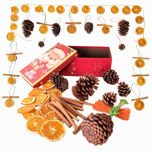 Natural Christmas DIY Decor Crafts Kit with Dried Orange Slices,