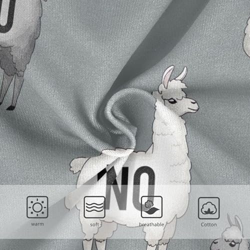 Florals Girls Underwear Toddler 2t Cotton Little Girl Panties Gray White Llamas Briefs Undies Kids3