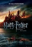  Harry Potter 7 – teaser – 61 x 91,5 cm Póster/póster