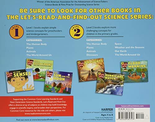 What Makes a Blizzard? (Let's-Read-and-Find-Out Science 2) - Image 2