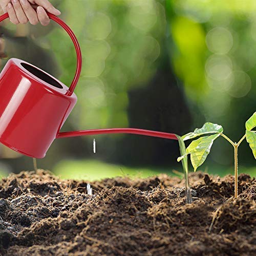 HORTICAN Classic Galvanized Watering Can Small Water Can for Outdoor and Indoor House Plants (0.5 gal/Silver)