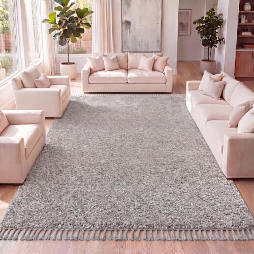 JONATHAN Y Mercer Shag Plush Tassel Gray Indoor Area Rug, 5x8, Contemporary, Modern, Easy-Cleaning for Living Room, Bedroom, Kitchen, Pet Friendly, Non-Shedding (MCR100E-5)