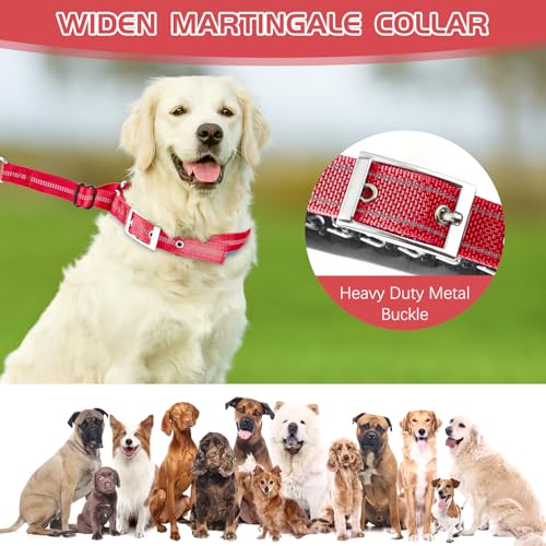 Duckygoo Hundehalsband, kein Ziehen, verstellbares Martingal-Halsband für kleine, mittelgroße und große Hunde, reflektierend, strapazierfähig, Trainingshalsband für Spaziergänge, Jagd, Rot, Größe S