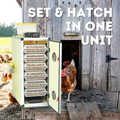 CT180SH Egg Incubator for Hatching 180 Eggs – Automatic Egg Turning & Humidity Control Cabinet | Large Chicken Incubator & Quail Incubator by Hatching Time