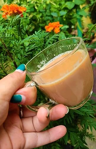 Image of MULTI ZONE 300 ML Crystal Clear Toughened Glass Tea Cup with Convenient Solid Handle Cups, Espresso Mug Set for Tea, Coffee, Hot /Cold Drinks (MZ-03)