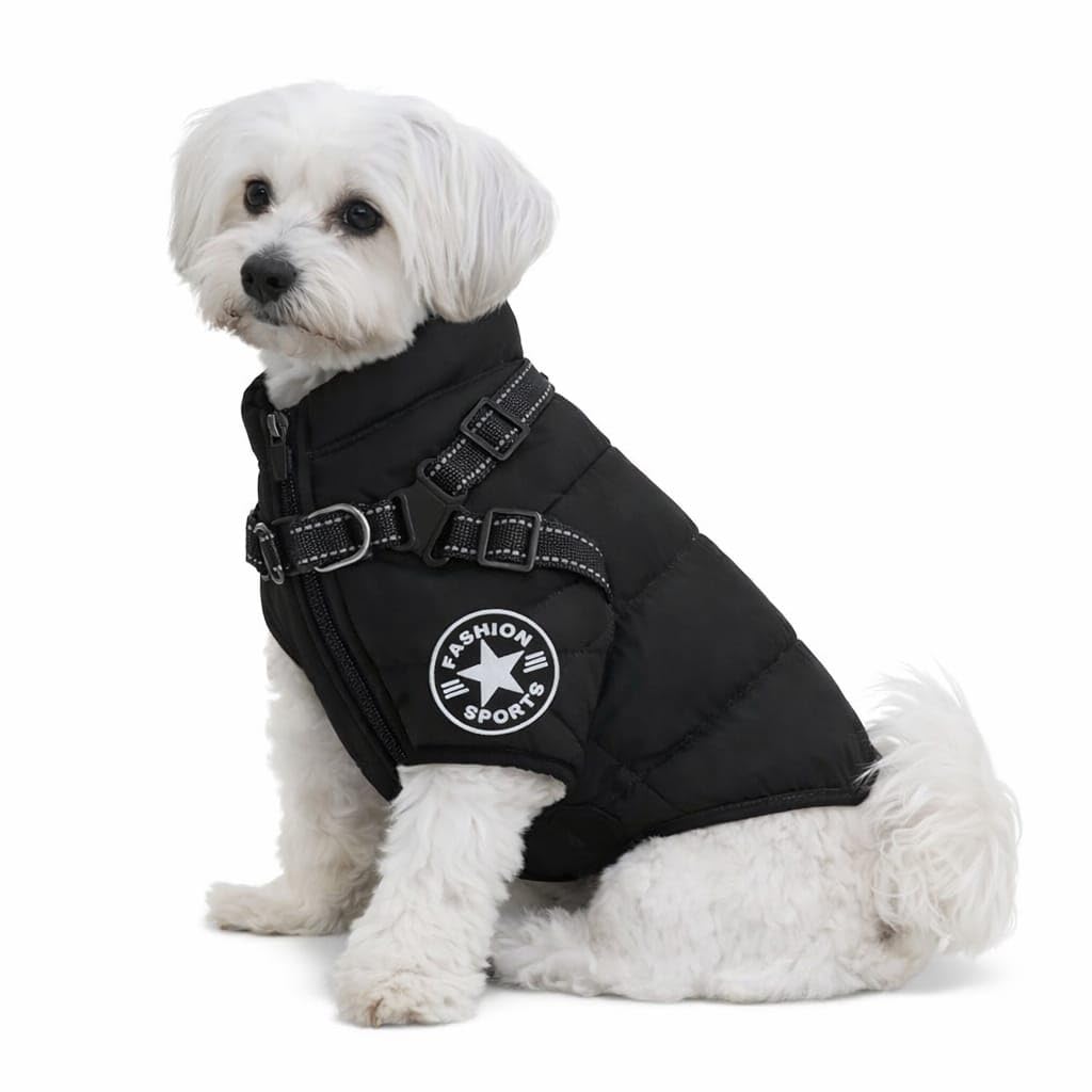 Veste d hiver extrême imperméable pour chien XXL gilet noir chaud avec harnais