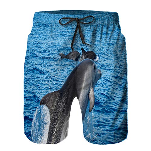Chándal sportwear Nike AA M Nsw Ce Trk Suit Wvn Basic