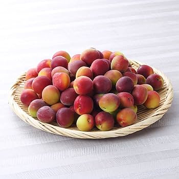 Amazon | 梅 パープルキング 秀品 ☆4L～Sサイズ 5kg 和歌山県産