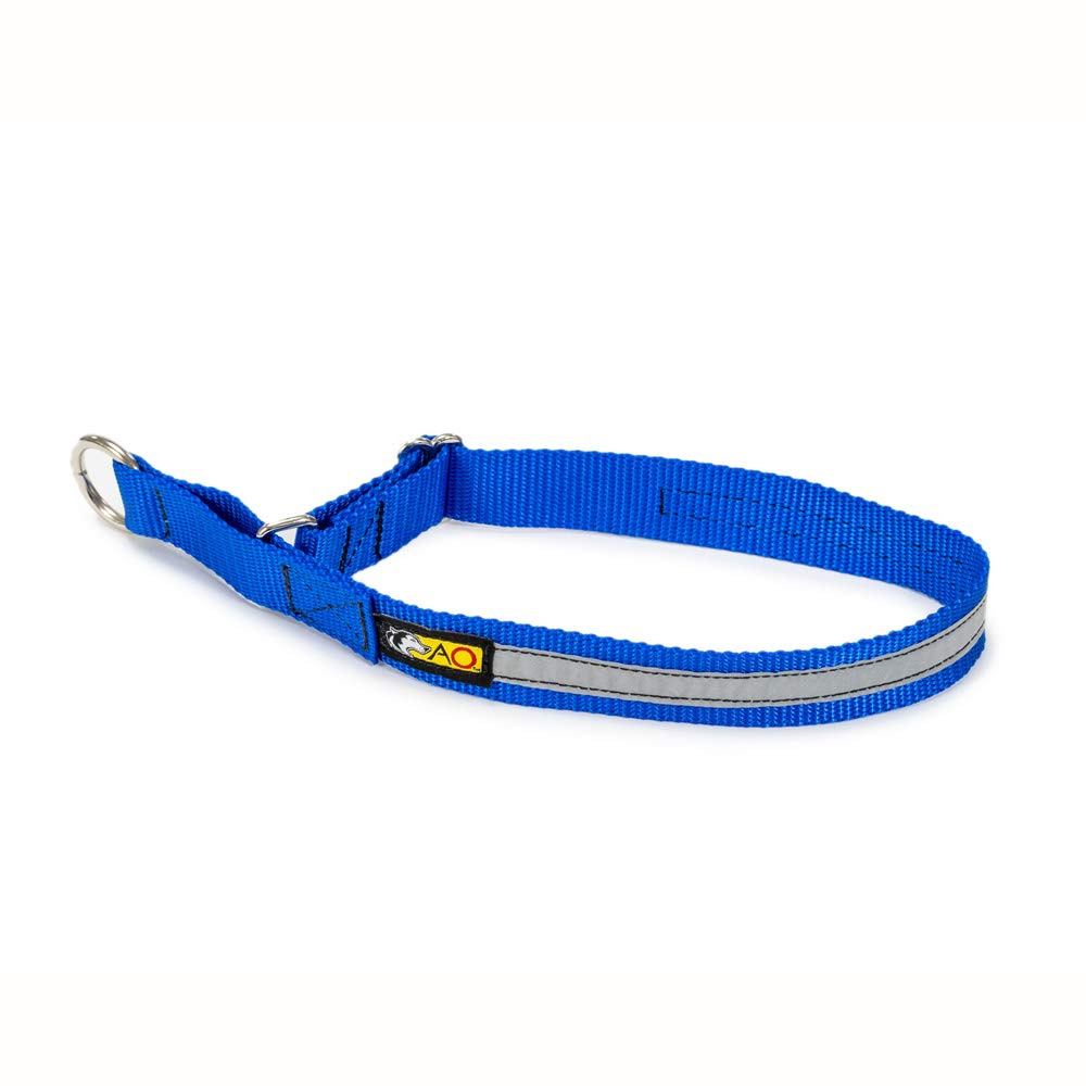 Alpine Outfitters Limited-Slip Collar, 1