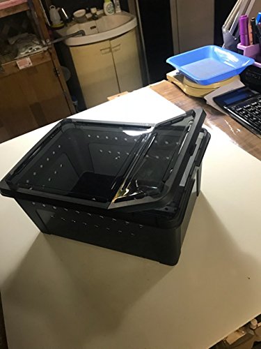 Amazon | 飼育容器 爬虫類・小動物用 レプタイルボックス (黒