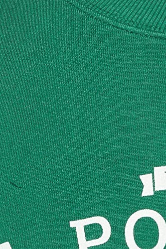 Image of U.S. POLO ASSN. Men Knitwear
