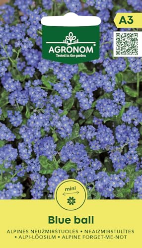 AGRONOM | Semillas de nomeolvides de los Alpes - BLUE BALL | Semillas de flores | Semillas de plantas | Semillas de jardín | Plantas perennes con flores duraderas y abundantes| 1 paquete