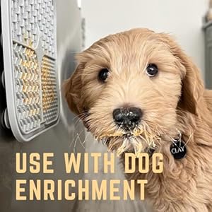 Relax Rover Buddy Budder stress + Anxiety 100 Natural Dog Peanut Butter Dog Supplment Made in Usa 17oz  Cucciolini Doodles Relax rover buddy budder stress + anxiety 100 natural dog peanut butter dog supplment made in usa 17oz   cucciolini doodles