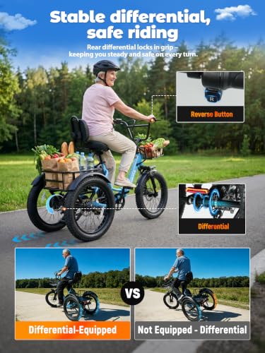 ESKUTE T300 MAX Electric Tricycle