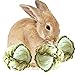 SunGrow Rabbit Leaf Ball, Trims Their Teeth, Entertaining Chew Toy, Keep Bunny, Guinea Pig, Kitten & Chinchilla Healthy & Happy