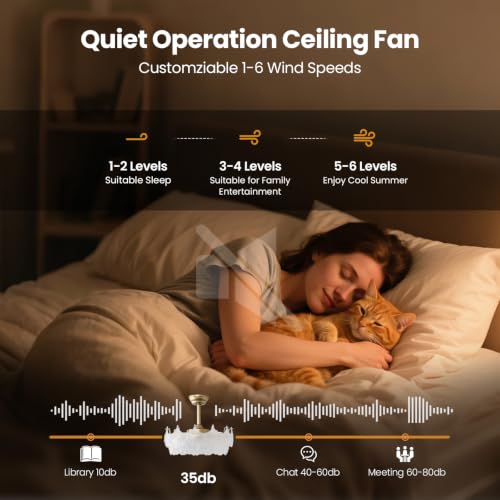 Image of 20'' Fandelier Ceiling Fans with Lights, Gold Caged Ceiling Fan with Remote Low Profile, 6 Speed and Gingko Leaf, Modern Semi Flush Mount Ceiling Fan for Bedroom, Living Room, Nursery