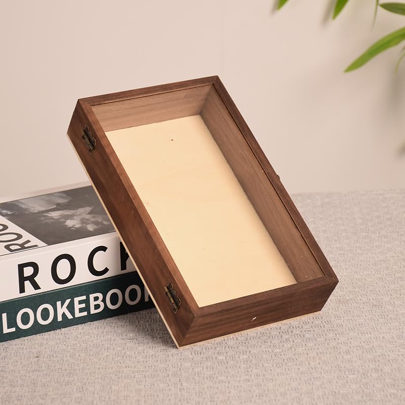 Vitrina de muestras de insectos con tapa de vidrio con bisagras, caja de sombra de madera para mariposas, escarabajos, hojas, colecciones minerales, caja de almacenamiento a prueba de polvo para