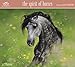 Lesley Harrison - The Spirit of Horses Wall Calendar (2017)