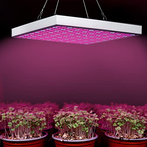 Paulmann 28734 LED Lampe Pflanzenlicht 4W Leuchtmittel Wachstumslicht Beleuchtung Licht 1300K E14 6 Paulmann 28734 LED Lampe Pflanzenlicht 4W Leuchtmittel Wachstumslicht Beleuchtung Licht 1300K E14 – Bild 6