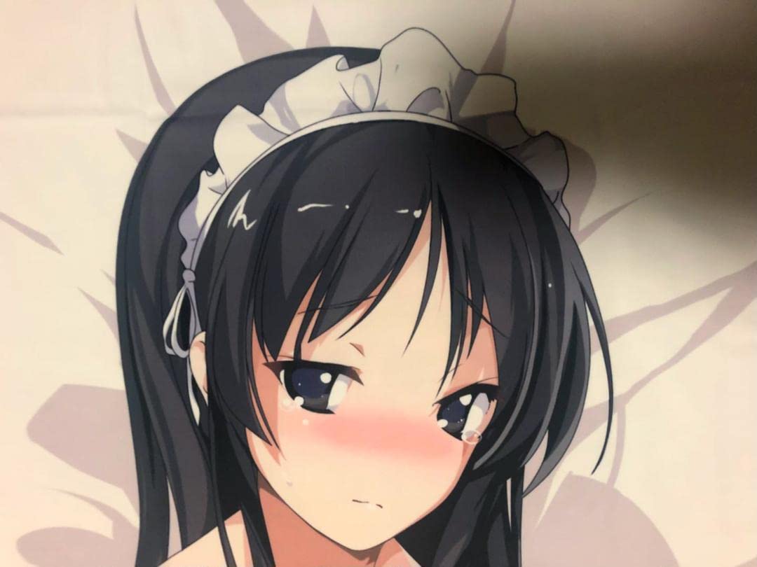 Amazon.co.jp: けいおん! 秋山澪 抱き枕カバー : ホビー