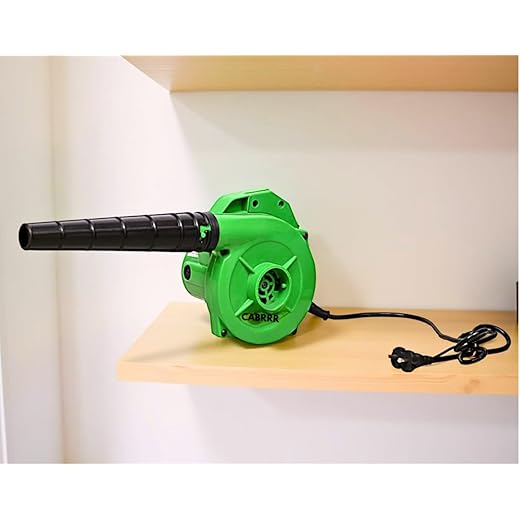 CABRRR 350W-550W Electric Air Blower 220V