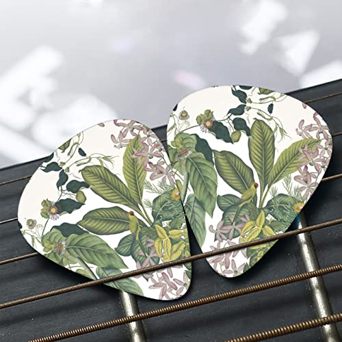 Ensemble de 12 médiators de guitare perroquet feuille de fleur tropicale pour guitare acoustique, guitare électrique… - Les Beatles, Paul McCartney, John Lennon, RIngo Starr, George Harrison Ensemble de 12 médiators de guitare perroquet feuille de fleur tropicale pour guitare acoustique, guitare électrique… – Image 8