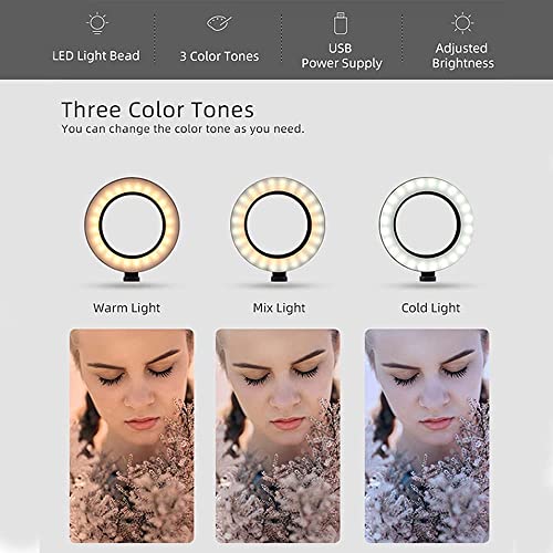 HCFSUK Fülllicht LED Ringlicht Studio Foto Video Dimmbare Lampe Stativ Stativ Selfie Kamera Handy Ringlicht für… – Bild 5