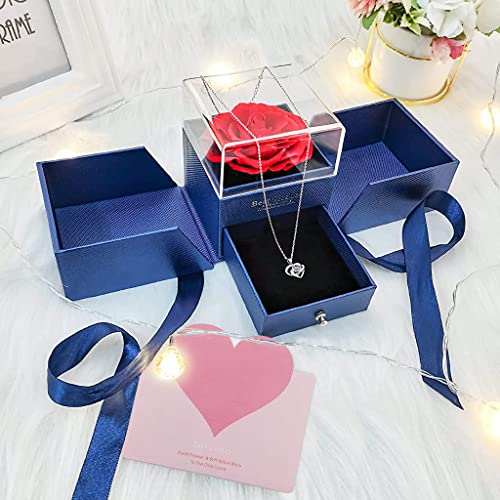 Image of HASTHIP Valentine Gift for Girlfriend, Wife, Women Artificial Preserved Rose with Heart Necklace with I Love You In 100 Languages Anniversary Birthday Gifts for Woman, Rakhi Gifts for Sister