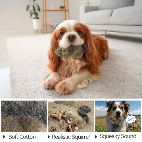 ALL FOR PAWS Classic Squirrel Pet Toys, Small - Image 6