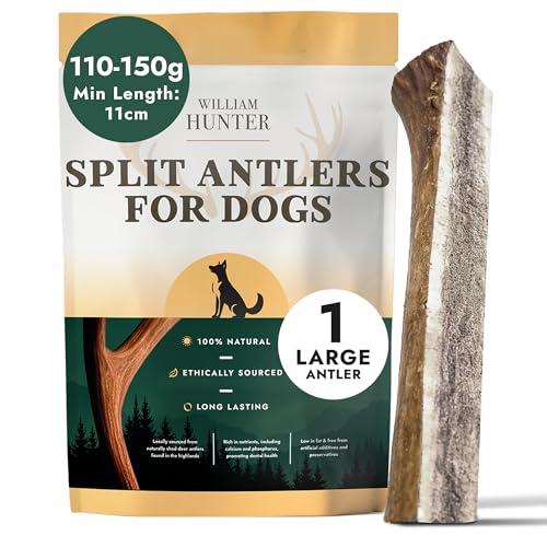 William Hunter Deer Antlers for Dogs - Naturally Shed Antler Chews for Dogs Long Lasting & Nutritious Antler Dog Chews that Promote Dental Health with No Foul Smell (1 Large Split)