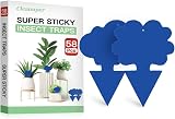Cleanuper 58 Pack Gnat Killer Sticky Traps for Plants - Blue Fungus Gnat Sticky Trap for Indoor Houseplants, Fruit Flies, Whiteflies, Aphids - Family Friendly Design, Flower and Cloud Shapes