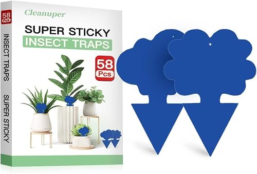 Cleanuper 58 Pack Gnat Killer Sticky Traps for Plants - Blue