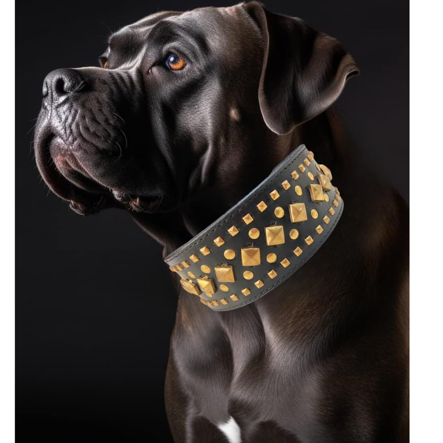 Dog Trust Heavy-Duty Spike Dog Collar, Large Sharp Spike Dog Collar, Anti-bite Protection for The Neck,Suitable for Medium and Large Dogs, Hunting, Fighting, Anti-bite 1 pcs (B0CTKM4FX6) Amazon Price History, Amazon Price Tracker