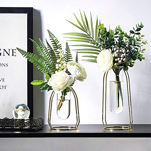 PAKASEPT Florero de Vidrio, 2piezas de Tubo Ensayo Jarrón Decorativo Moderno Hidropónico para Sala de Estar para Bodas de cumpleaños con jarrones Transparentes de Cilindro con Soporte de Metal