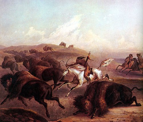 "Buffalo Hunt" Native American Indian Art Print Bodmer