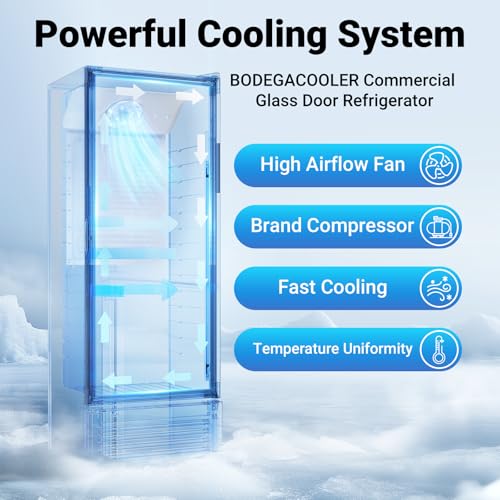Commercial Display Refrigerator Upright