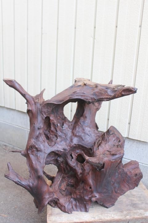 天然木瘤一輪挿し ビンテージ 天然木瘤一輪挿しビンテージ