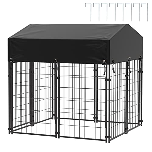 Can Springer Spaniels Live Outside? Easy Spaniel Training