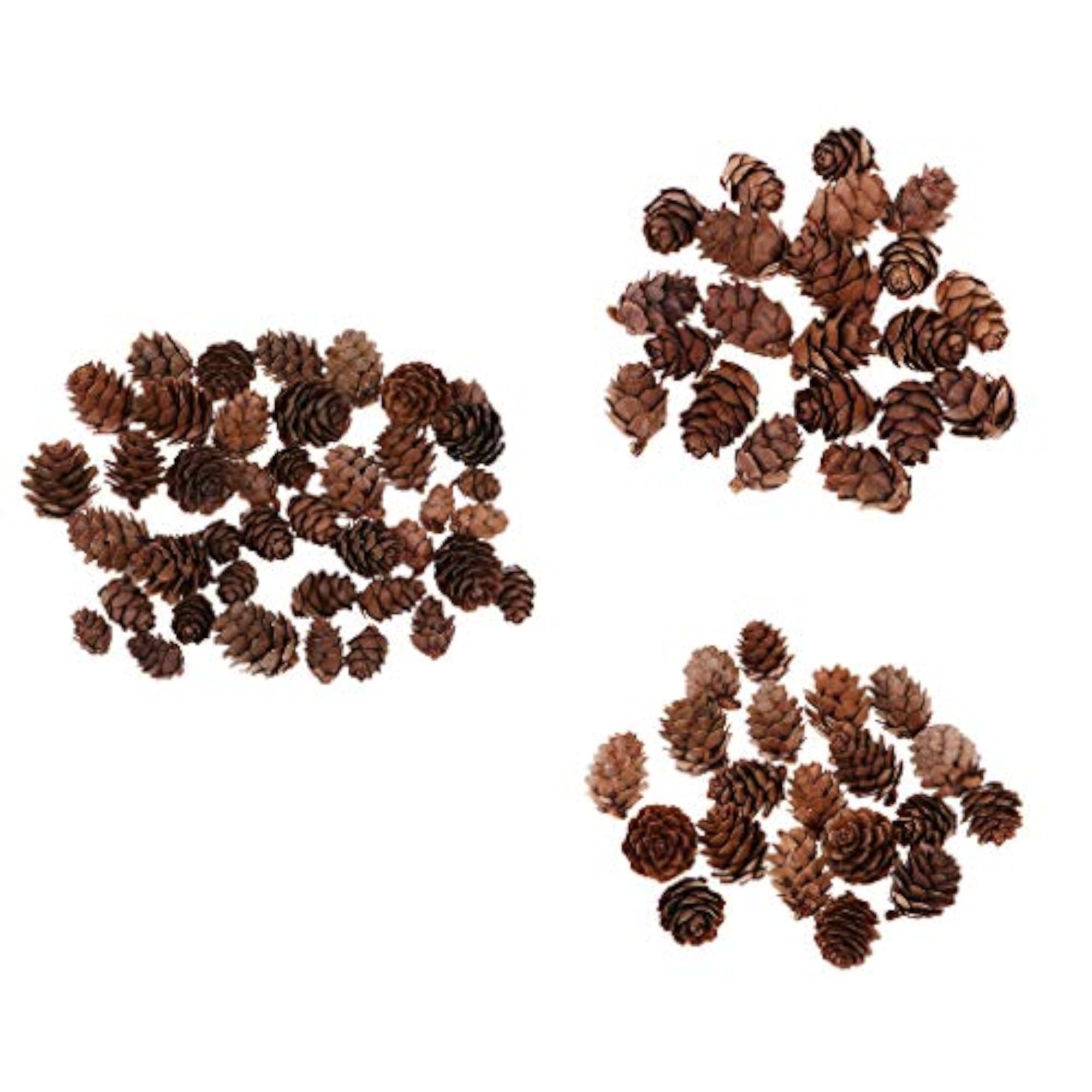 50 Pieces Mini Decorative Pinecone for Crafts