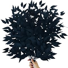 Black - Italian Ruscus Stems