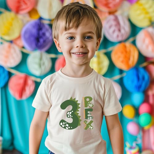 2-6 Rex Birthday Shirts Toddler Kids Dinosaur Theme Birthday T-Shirts Cotton Short Sleeve Tees4