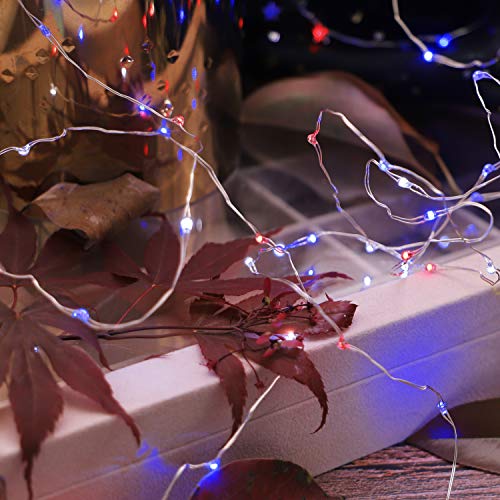 Miya Life July 4Th Independence Day Led String Lights 10 Ft 60 Leds Copper Wire With The Remote &Timer Usa American Flag For Patriotic Decoration Memorial Day Presidents Day (Usa Rice Lights) #TOP5