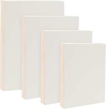 Da Vinci Pro Ultra Smooth Wood Canvas Gesso Board - 3/4" Deep, Bundle of 4 Medium Rectangle White Acrylic Polymer Gesso Panels for Painting Fine Portraits, Ultra Fine Detail Illustrations and Artwork